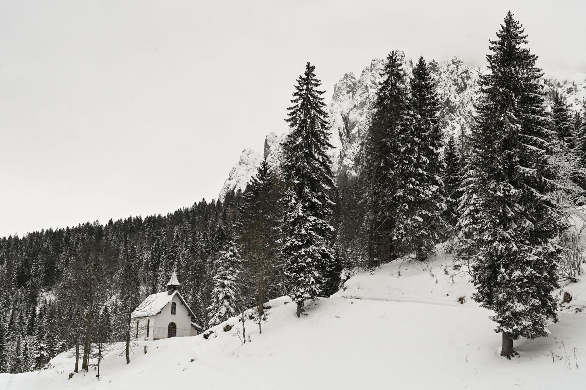 Hotel Rifugio Cereda Fiera Di Primiero Esterno foto