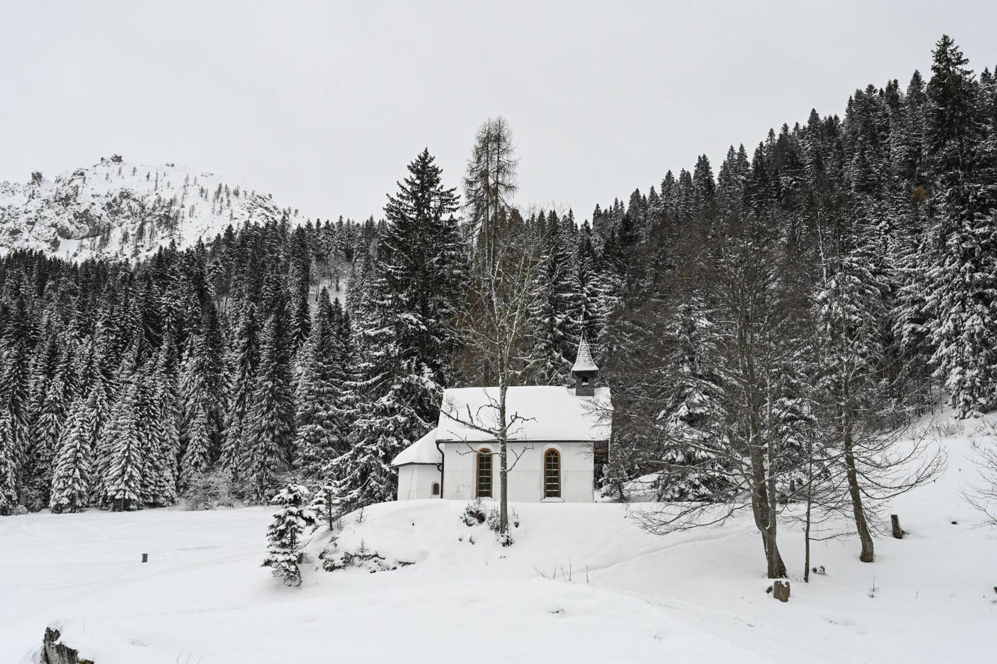 Hotel Rifugio Cereda Fiera Di Primiero Esterno foto
